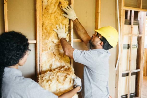 Insulation for New Construction in Purdy, MO