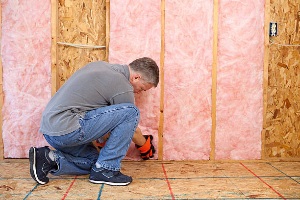 Insulation Replacement Services in Purdy, MO