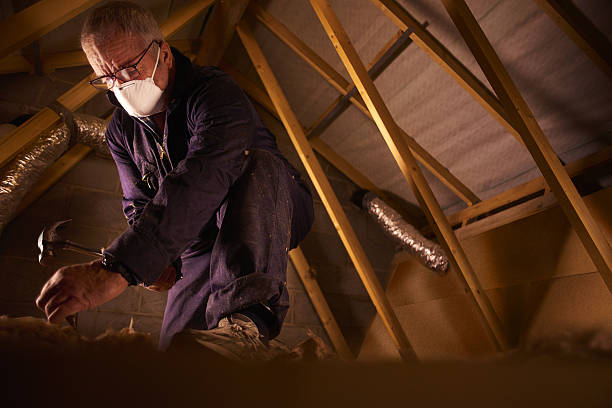 Best Wall Insulation Contractor  in Purdy, MO
