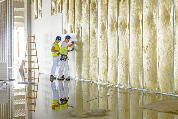 Best Insulation Contractor Near Me  in Purdy, MO